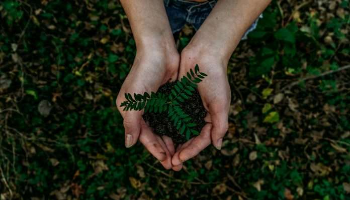 Sustainable finance platform Goparity secures 2.9m euros to scale ethical investing