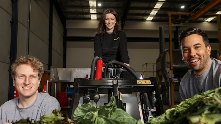 It's a bugs life: Aussie startup enlists insect army to tackle food waste