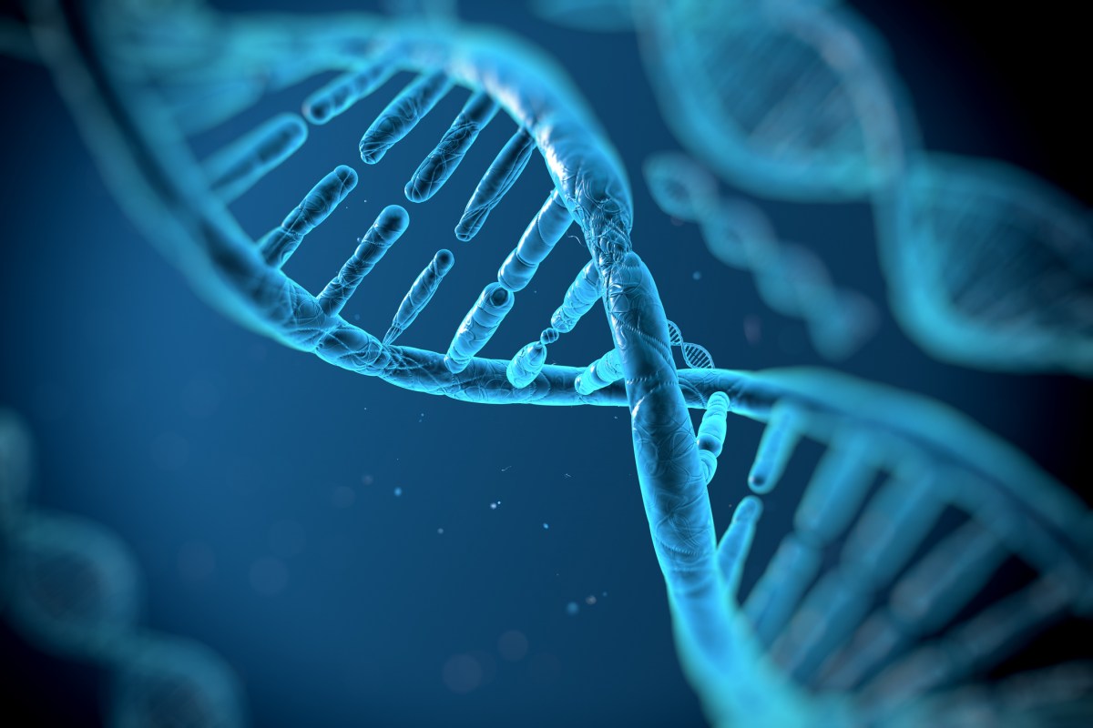 Biotech Nephrogen combines AI and gene therapy to reverse kidney disease — check it out at TechCrunch Disrupt 2025