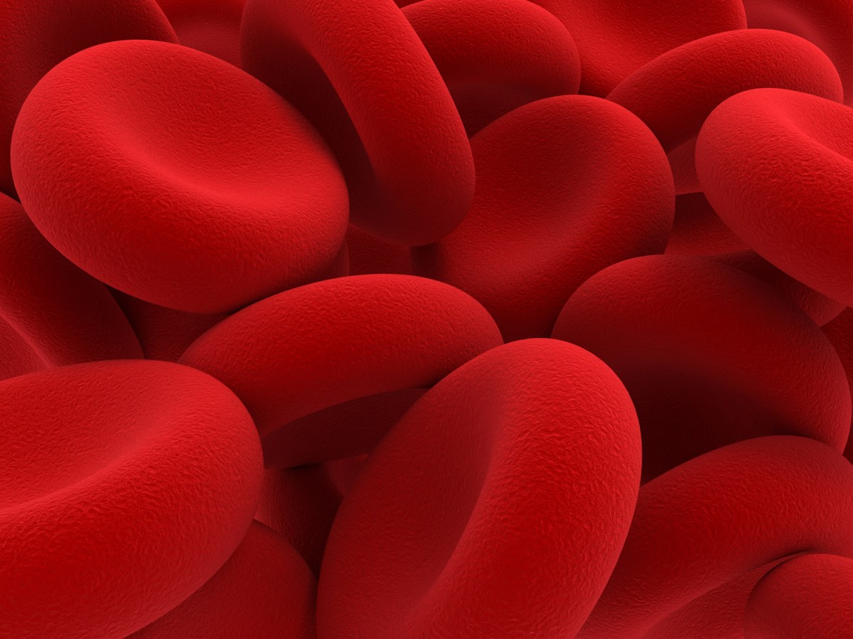 Miraqules will showcase its blood clotting technology at TechCrunch Disrupt 2025