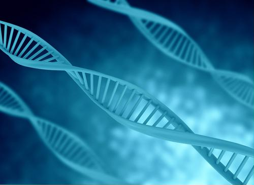 Senti Biosciences completes merger with Dynamics Special Purpose Corp