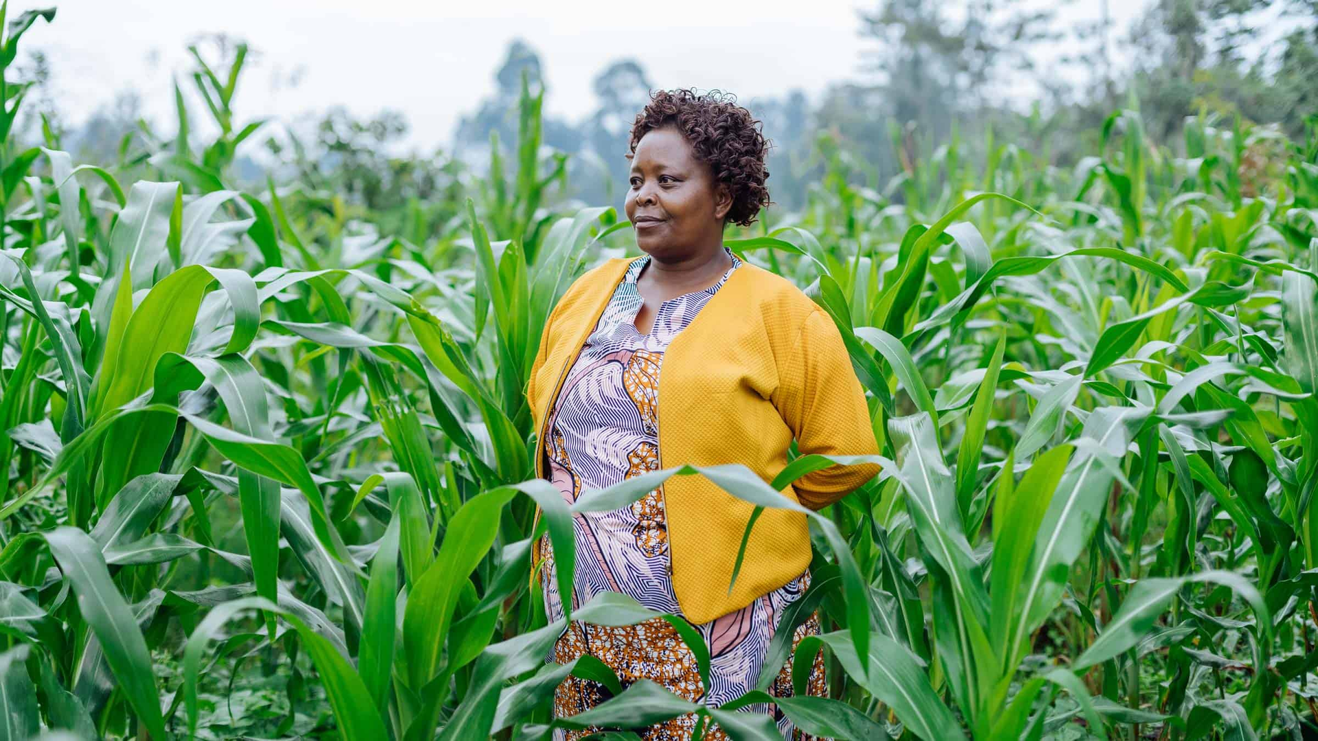Acumen’s ARAF announces $90 million in committed capital to continue scaling climate-resilient agriculture across Africa