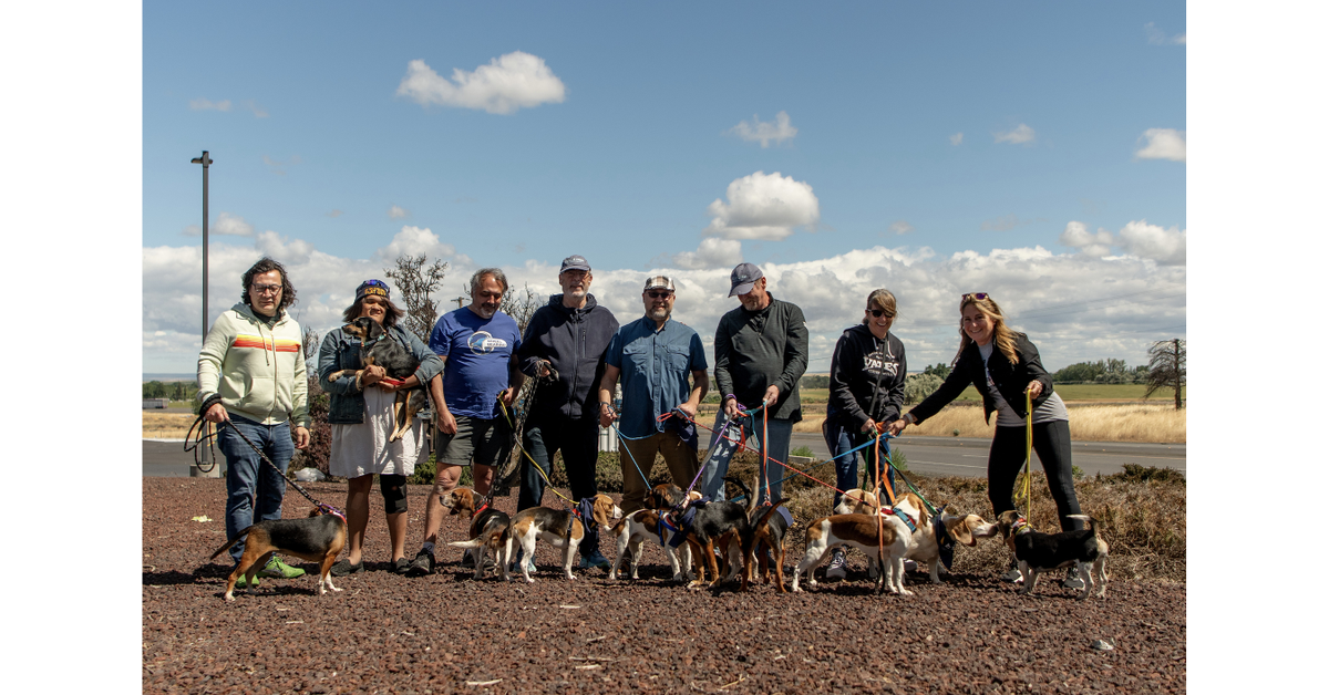 Hyundai Powers Operation Frodo All-Electric Cross-Country Dog Rescue Mission with IONIQ 9