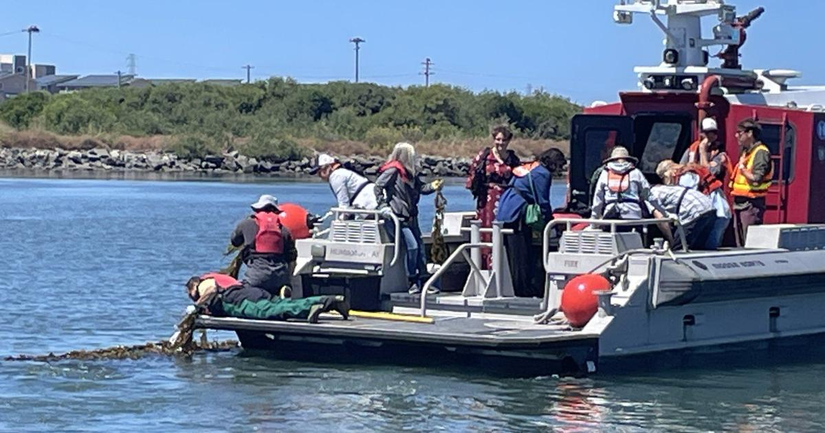 Seaweed Farming Helps Environment and Economy in California’s Humboldt Bay