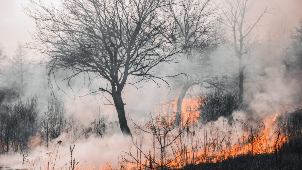 How HPC scales AI for fire and flood detection on EuroHPC systems