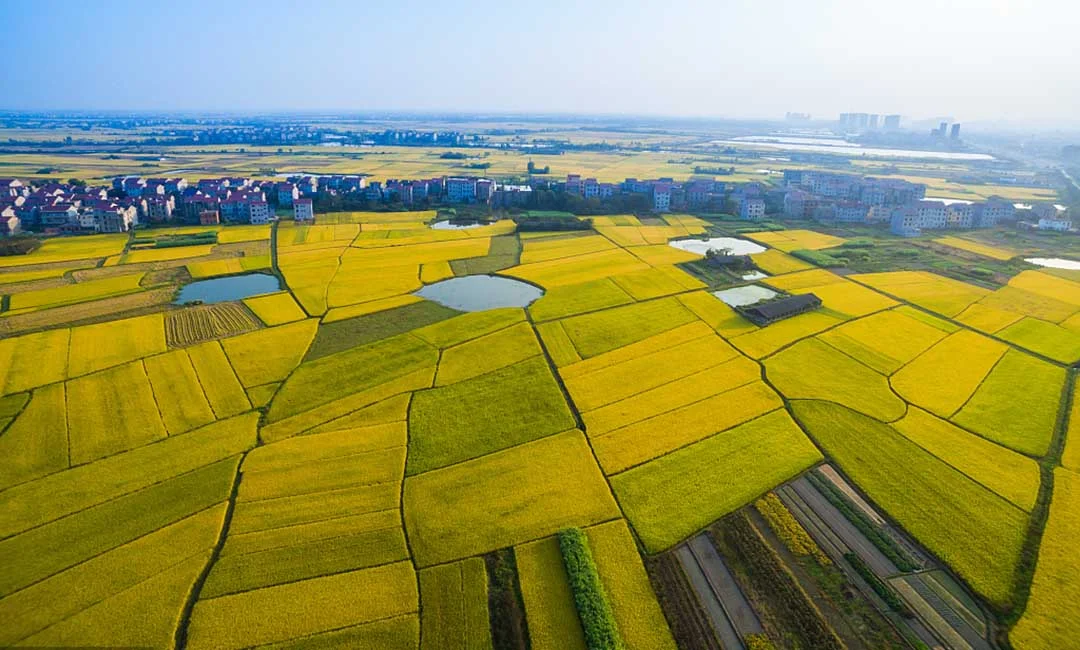 China's mobile banks offer 1-second loan decisions in farmland