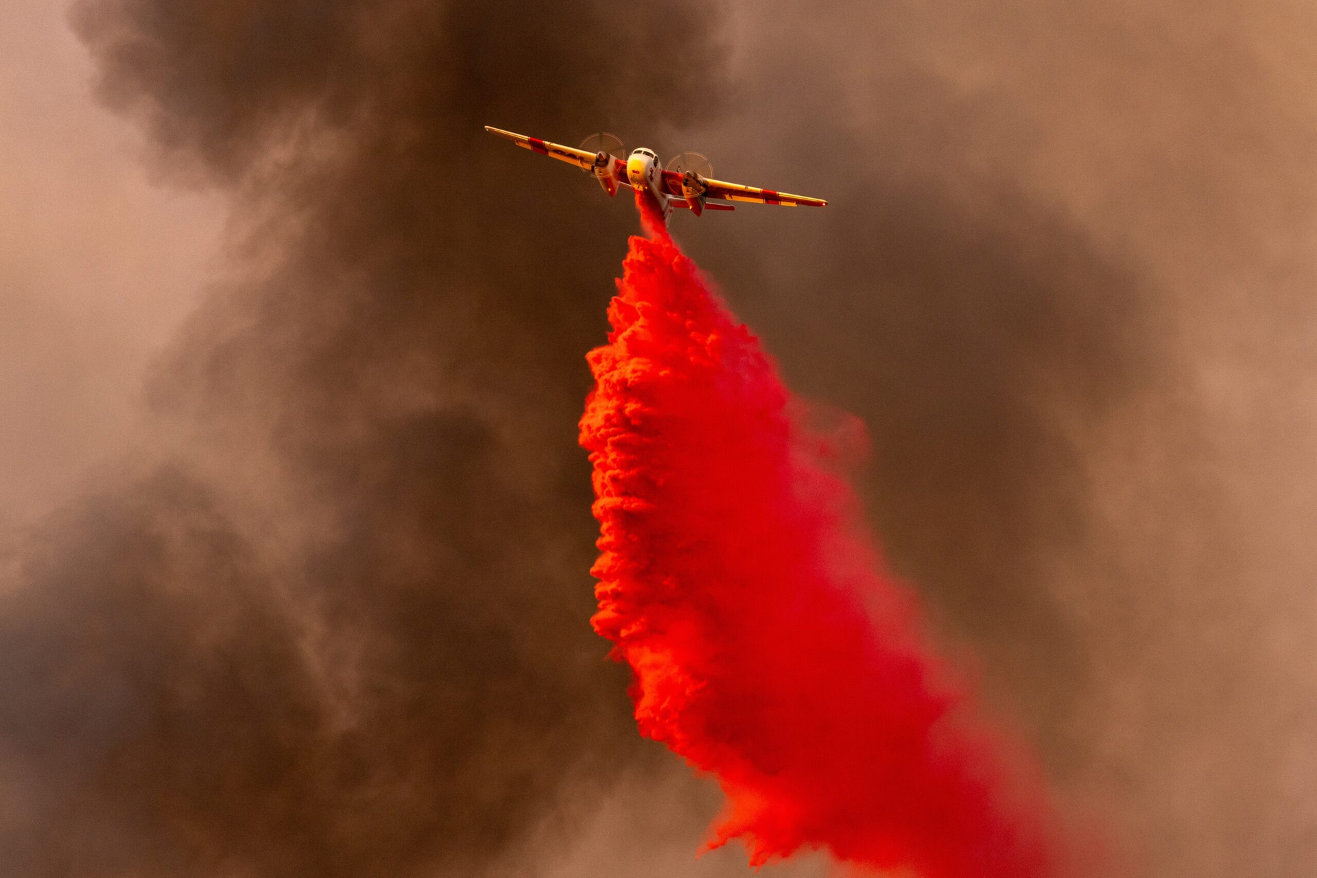 WATCH: The Israeli startup that can detect wildfires in minutes