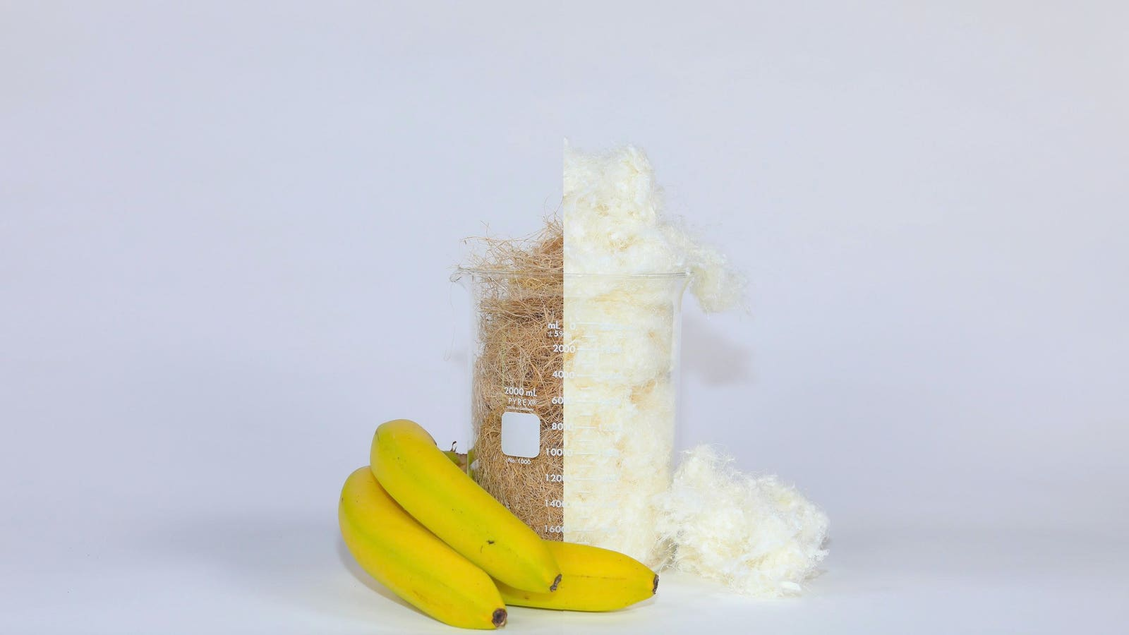 How St3ms® Is Turning Banana Plant Waste Into Natural Performance Textiles