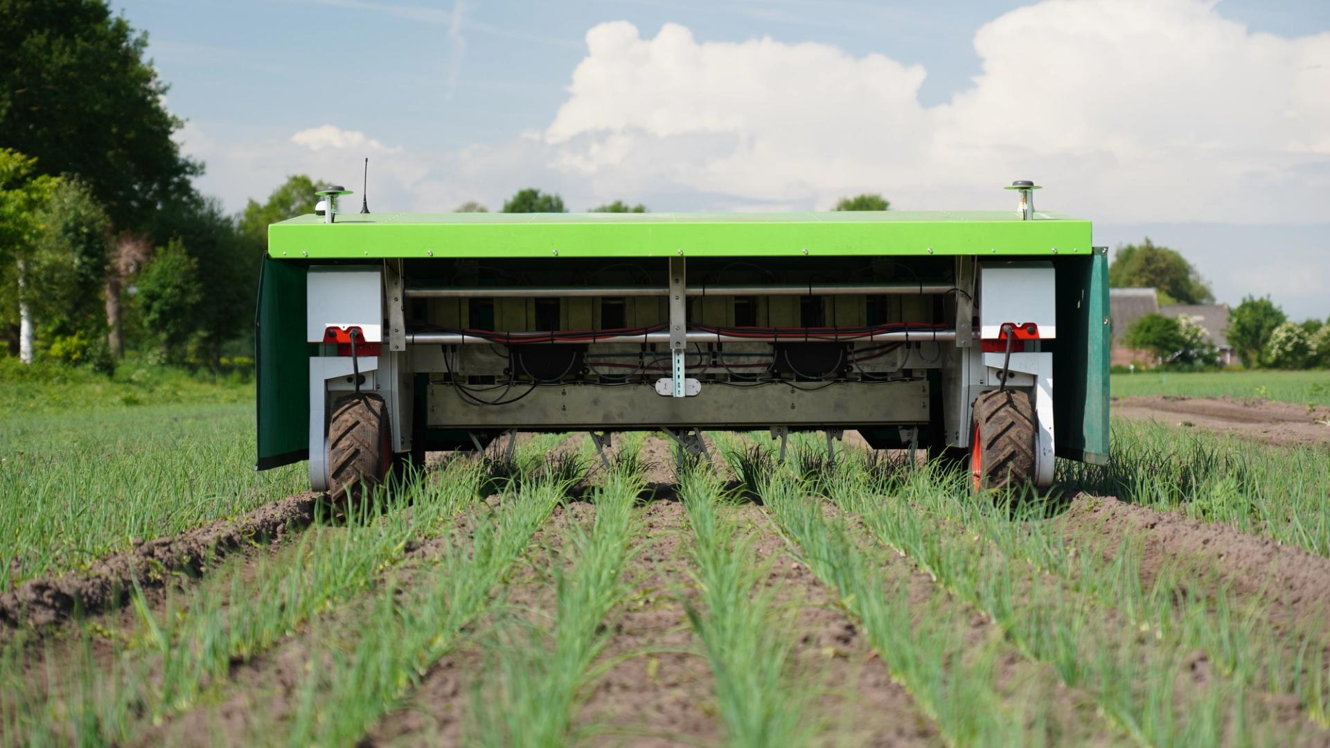 Ekobot: New autonomous weeding experience