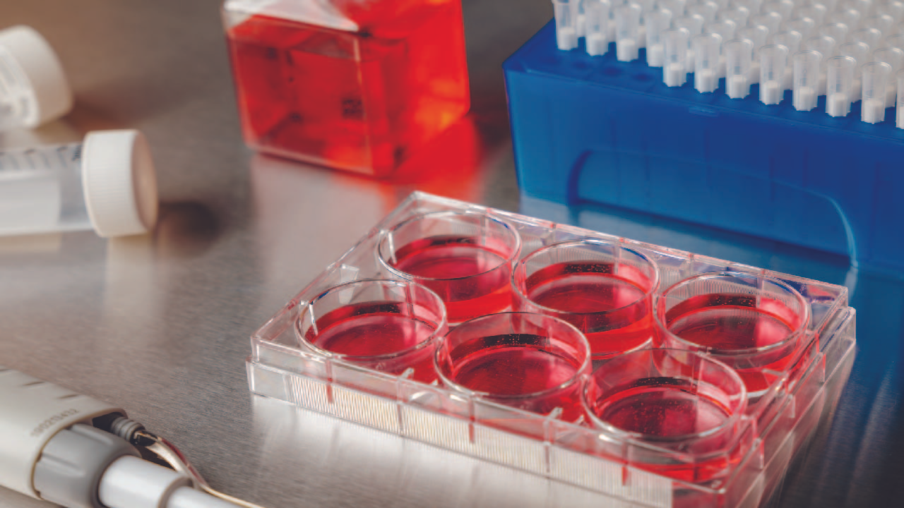 Life science company MilliporeSigma to acquire Netherlands-based organoid pioneer HUB