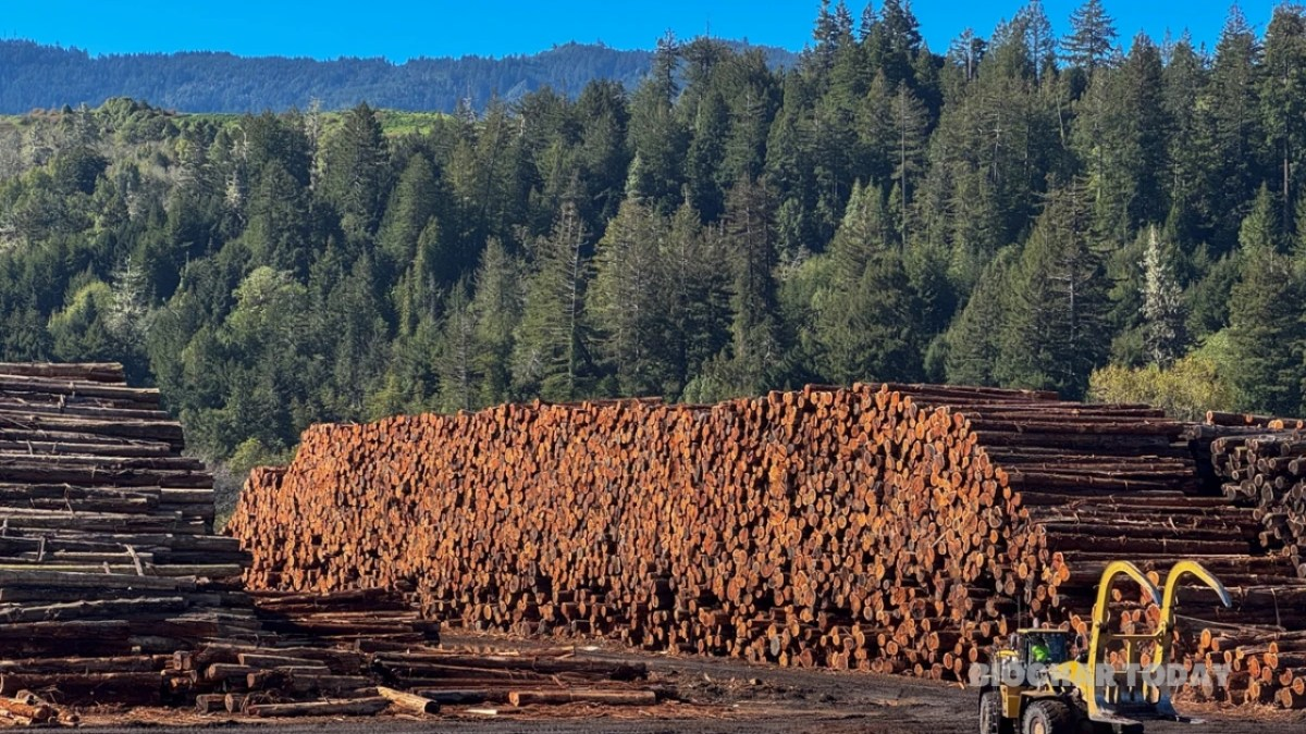 Transforming California's Agriculture with Biochar Innovation
