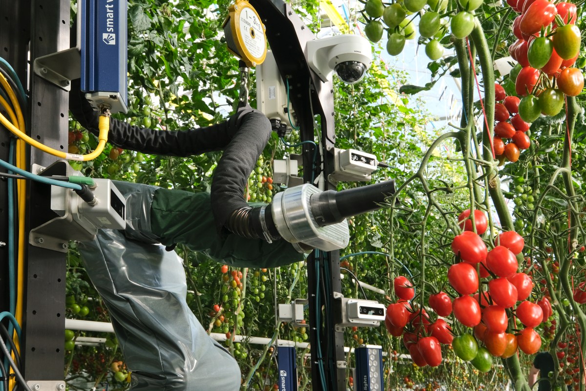 YC-backed Four Growers builds robots to help solve greenhouse labor shortages