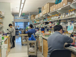 UW starts construction on $231.1M chemistry hub set to open in 2029