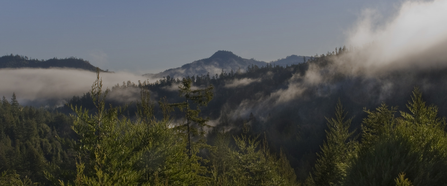 Pacific Biochar Secures First U.S. Biochar Carbon Credits – Humboldt Sawmill Company