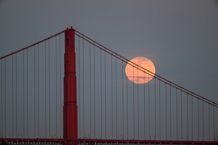 TechCrunch+ roundup: YC Demo Day faves, thrift shop VCs, cybersecurity product challenges