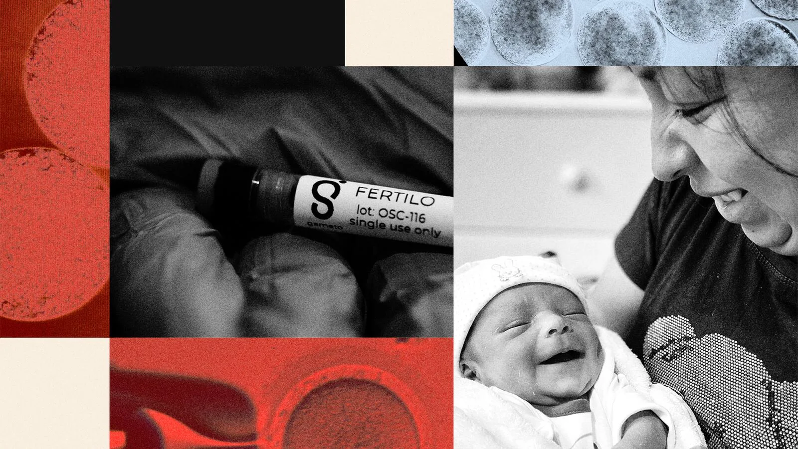 A company is trying to unlock a key to aging, in a long-overlooked body part