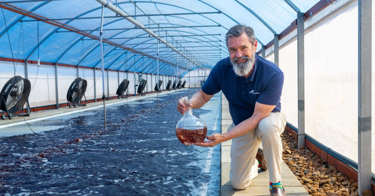 CH4 Global Opens the Worlds First Commercial-Scale Asparagopsis Production Facility