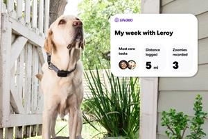 Life360 Announces New Pet Care Products So No One Forgets Fido This Back-To-School Season