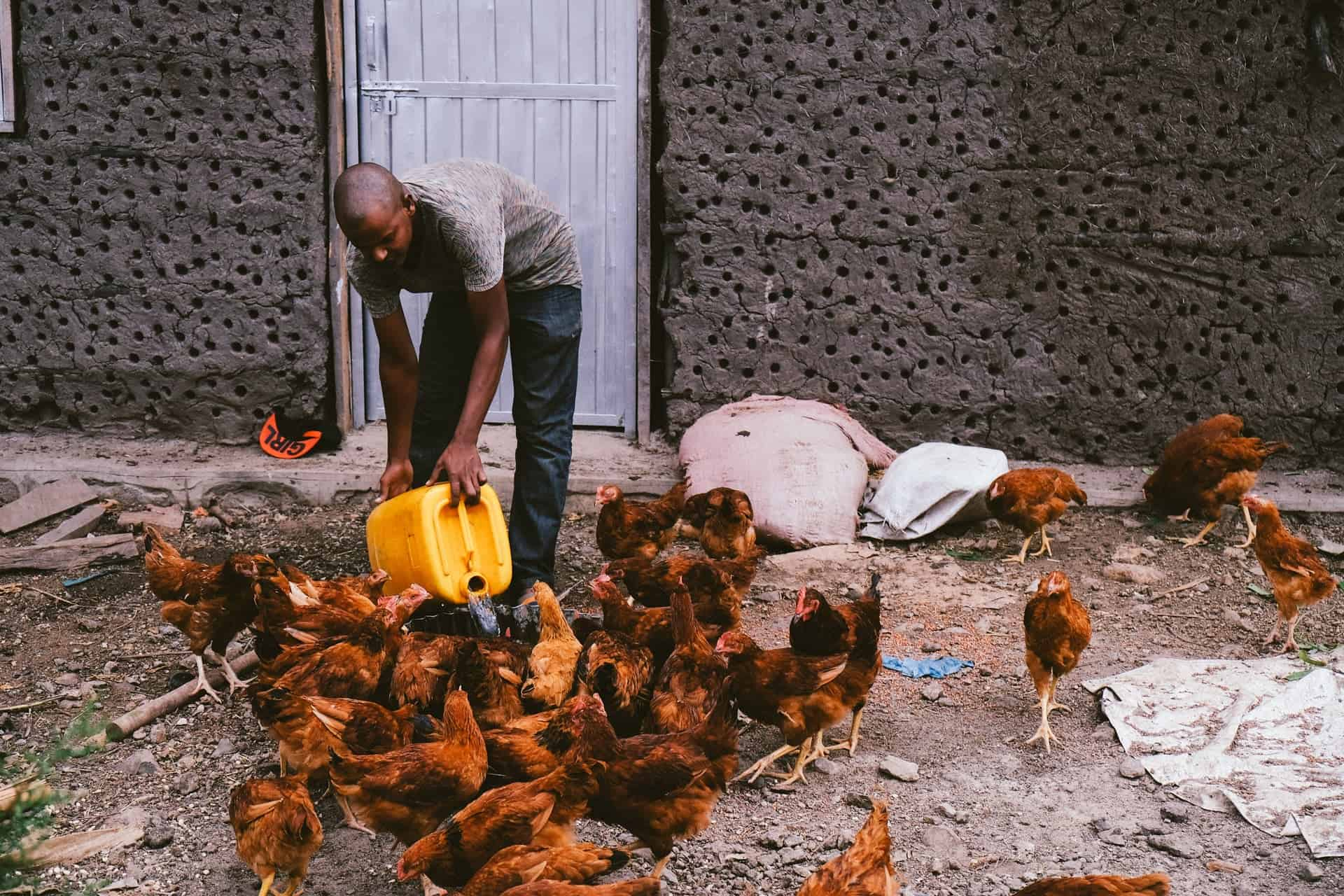 Acumen Announces $300M Agricultural Adaptation Commitment