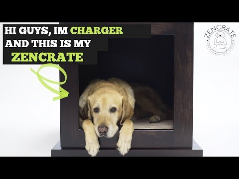 ZenCrate Smart Anti-Anxiety Dog Crates Joins Forces With Wayfair.com
