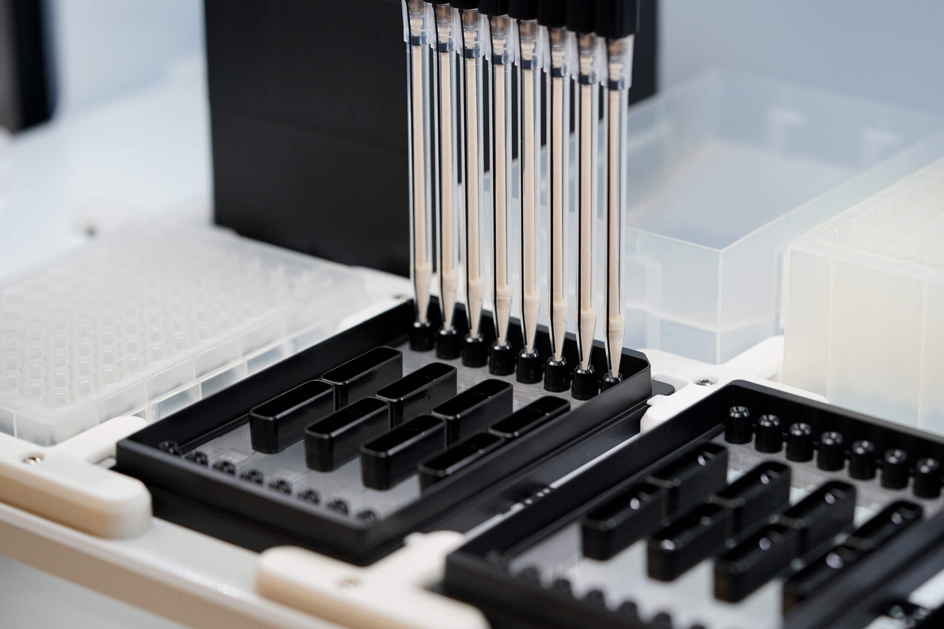 Higher-Throughput LNP Screening on the FLO i8 PD