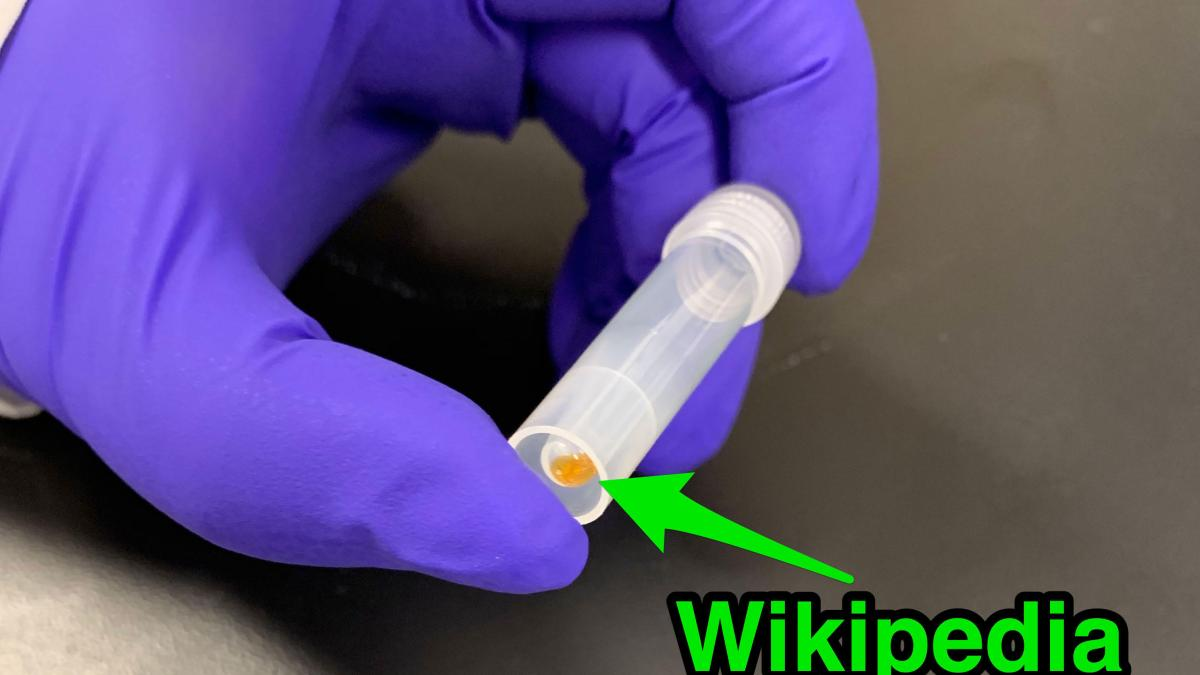 Startup packs all 16GB Wikipedia onto DNA strands to demonstrate new storage tech