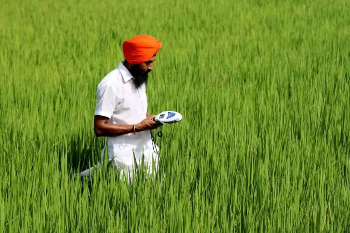 Kering-backed fund Mirova pours $30.5M into India’s Varaha for regenerative farming