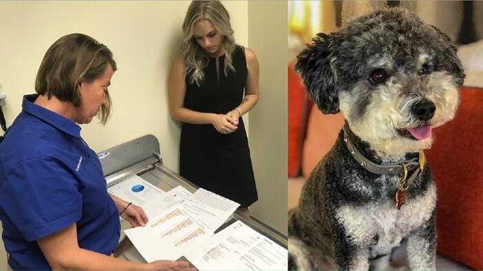 Pet DNA tests: Do they work?