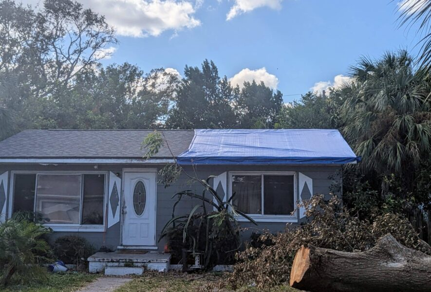 Storms support St. Petersburg insurer's rebirth