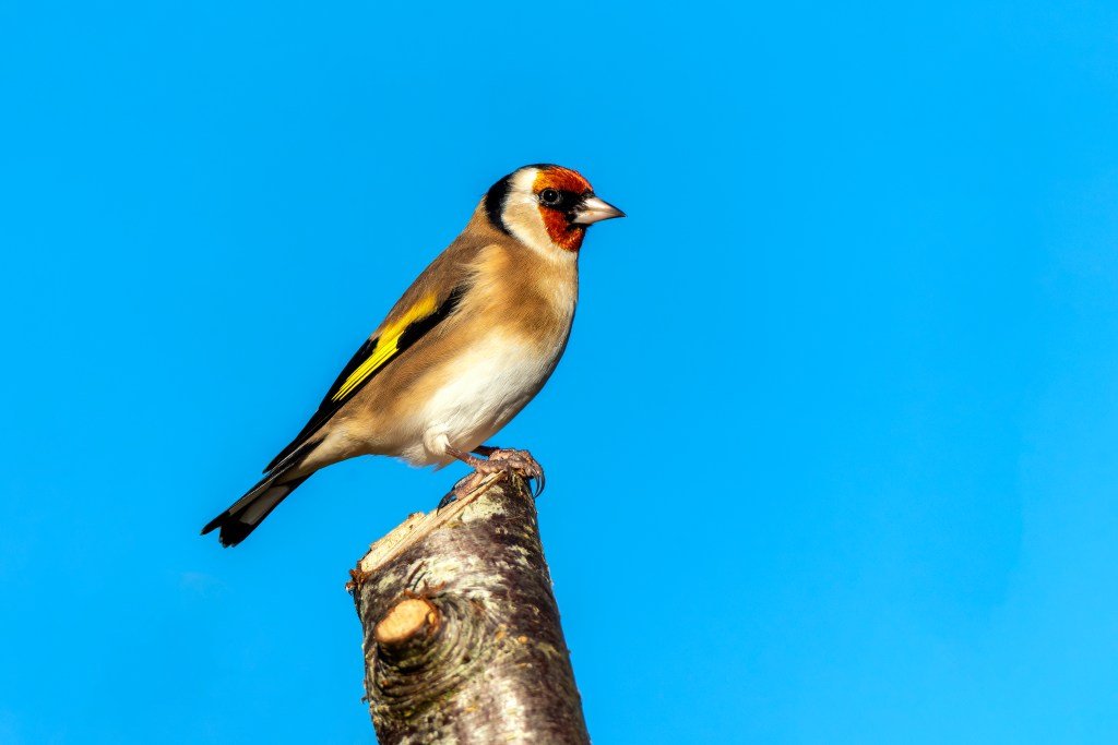 Tinybird raises another $30 million to transform data into real-time APIs