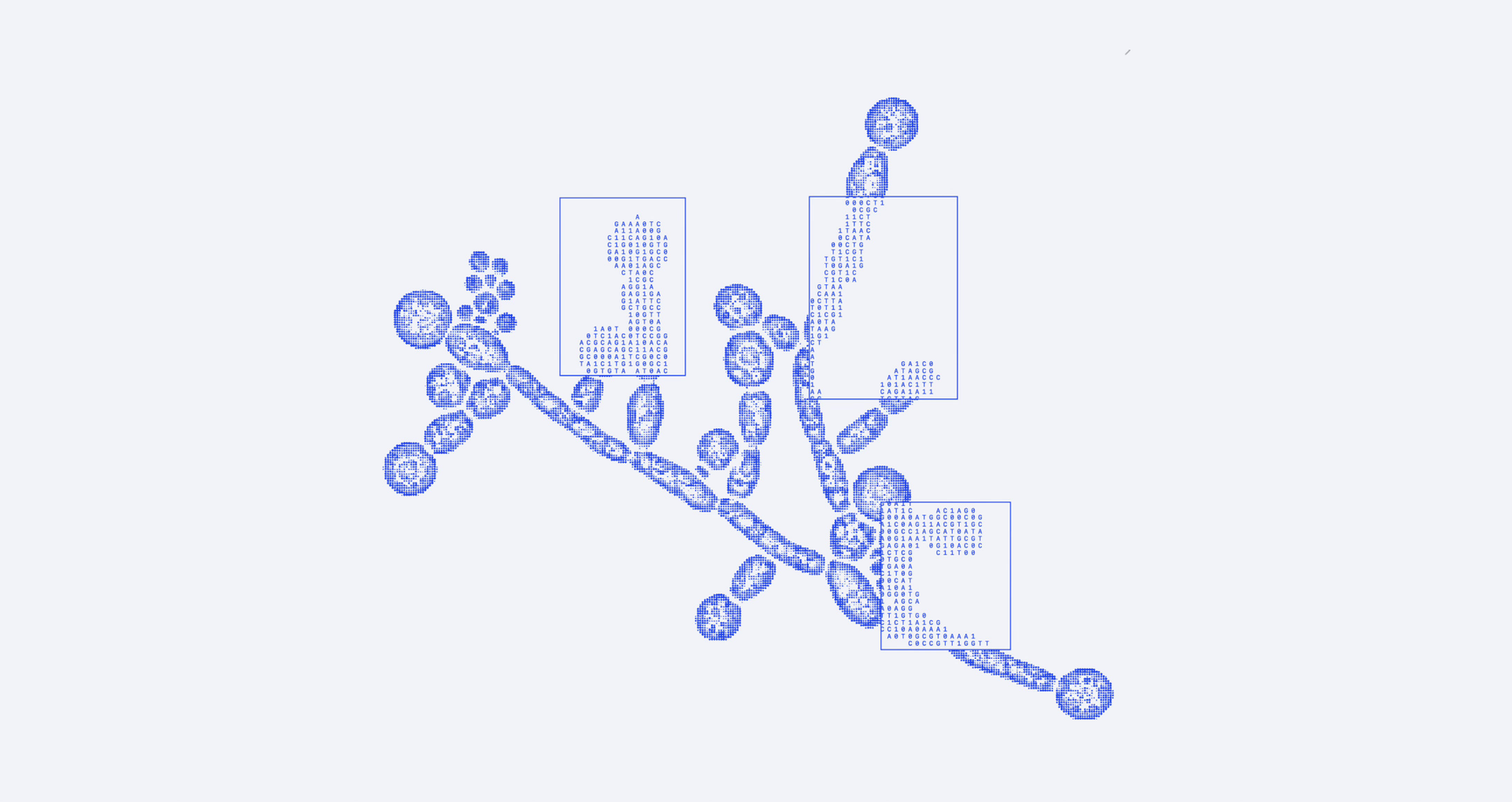 Incorporating Microeukaryotes into Biosecurity