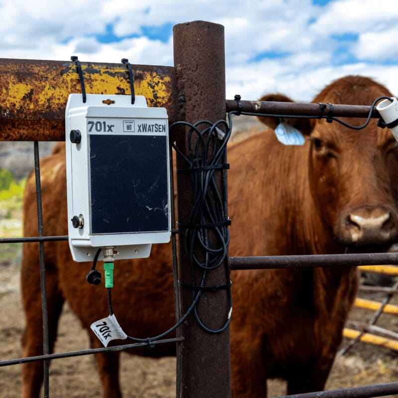 701x Acquires Digital Beef