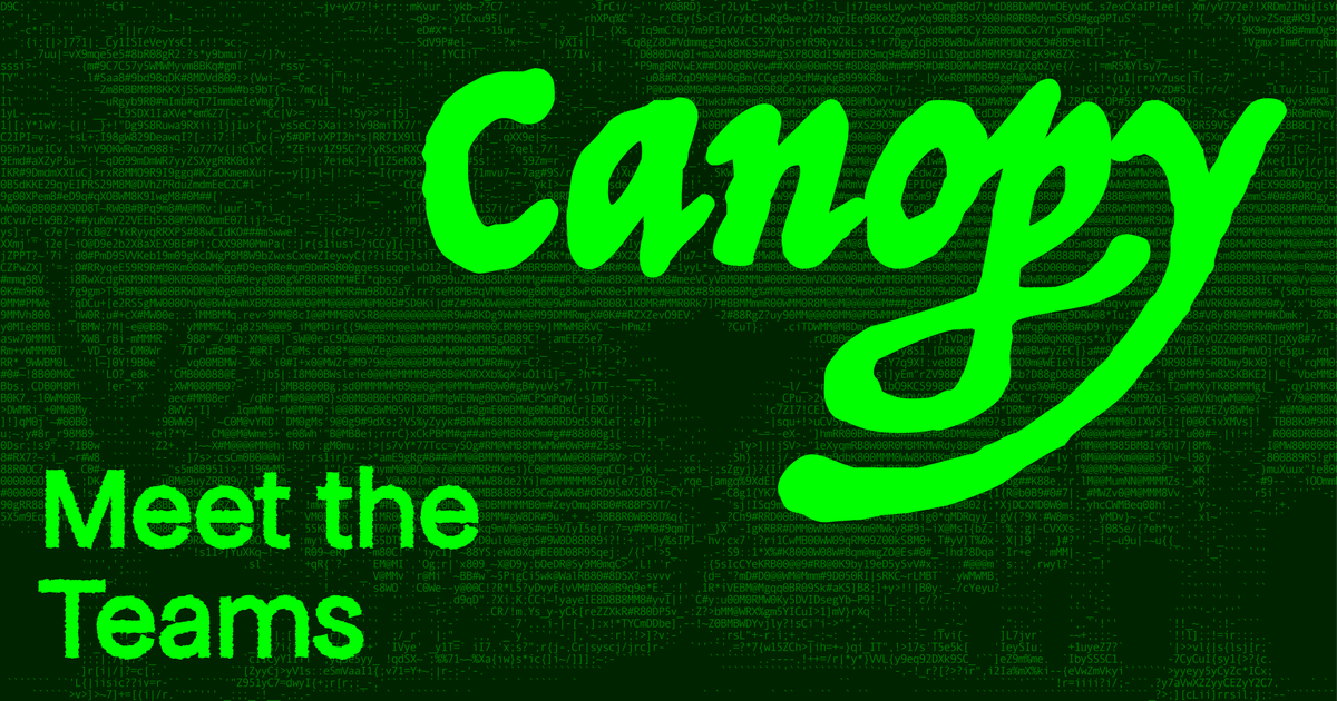 Meet the teams of Canopy