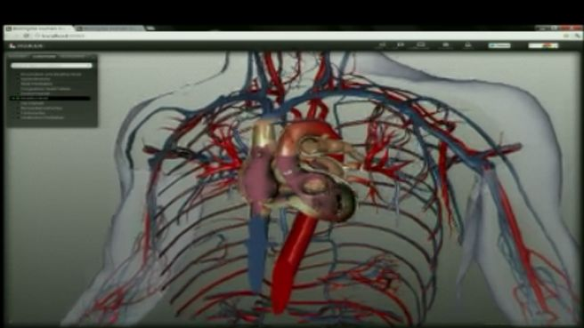 A Digital Revolution for Studying Human Anatomy