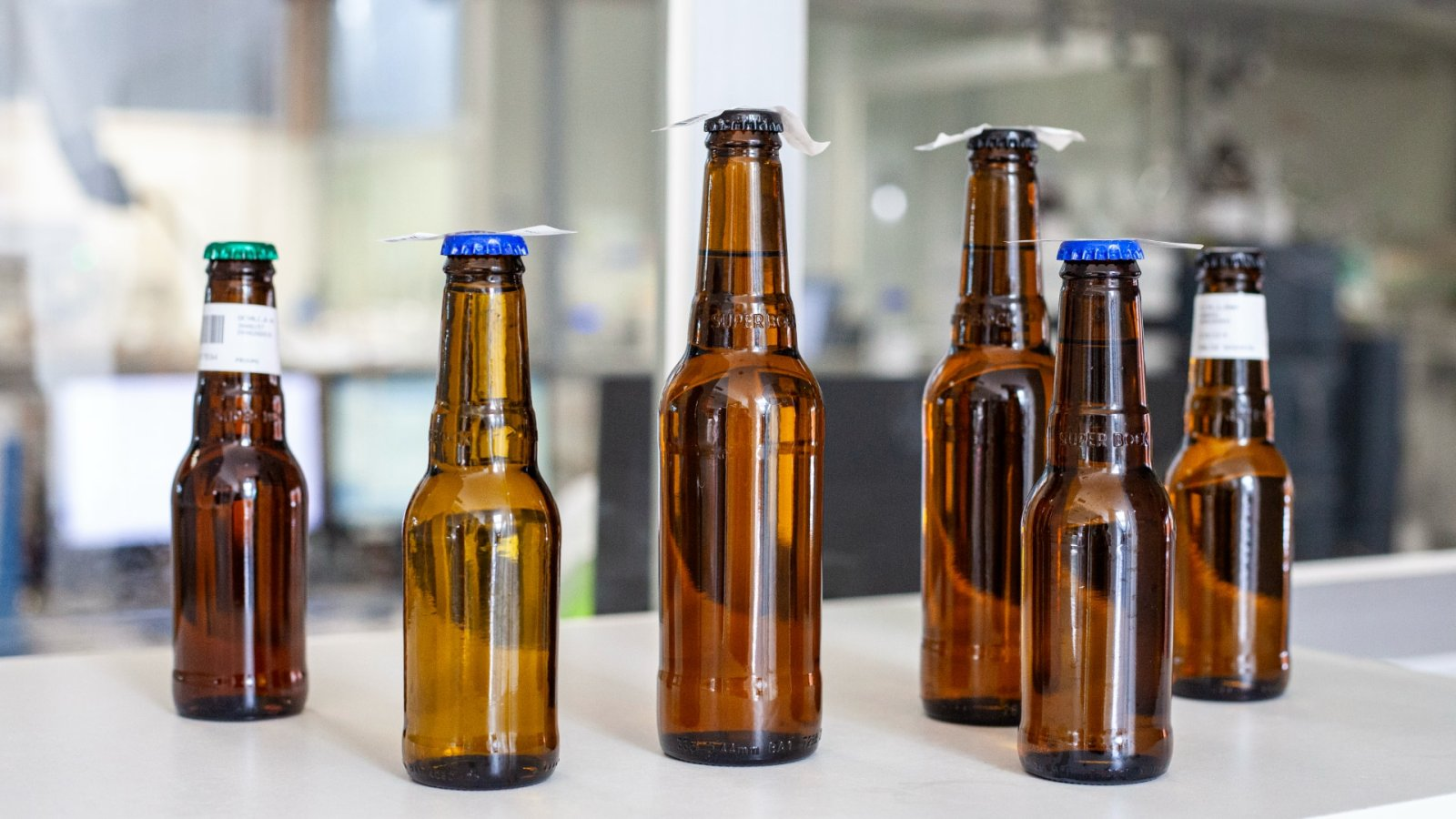 Cold in half the time: inside the GELA pilot with Super Bock Group
