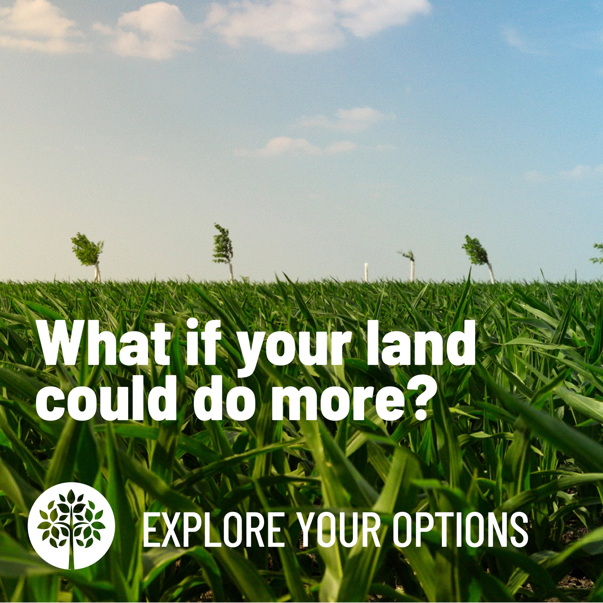Farmers and Nature to Benefit from Newly Launched Agroforestry Project