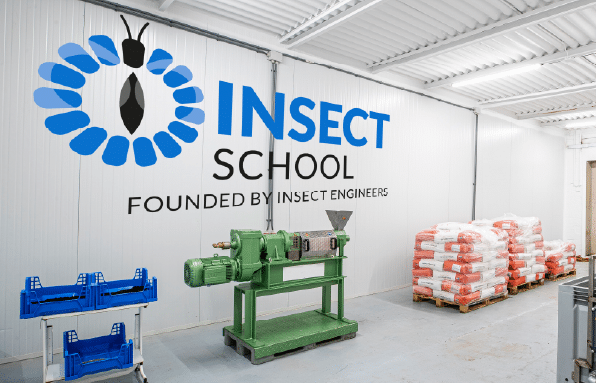 INSECT ENGINEERS : The Insect School
