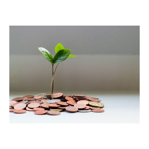 Settle bags $60M to simplify bill payments for e-commerce