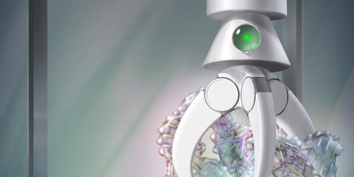 An Algorithm Predicts Biological Structures More Accurately Than Ever