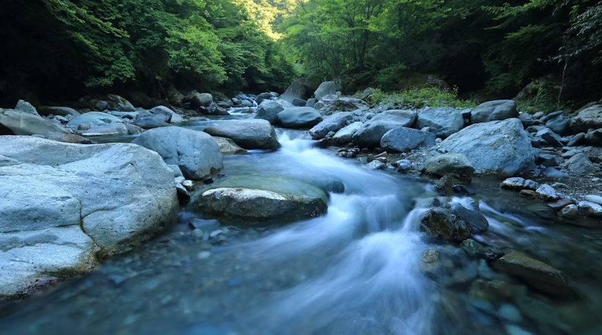 Personalized AI startup River AI raises $1.1B from consortium backed by Nvidia, AMD