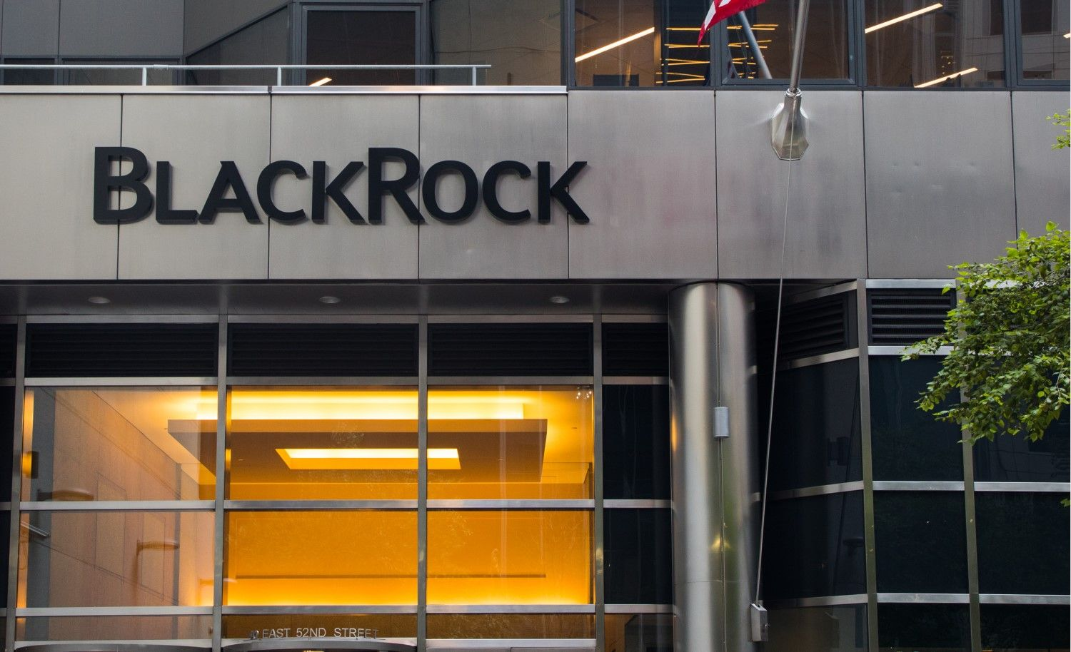 Ether-Focused SharpLink Appoints Former BlackRock Executive as Co-CEO