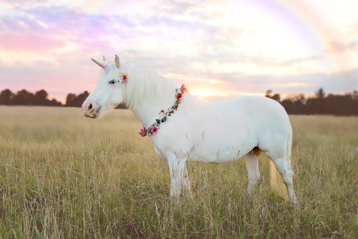 Meet the new European unicorns of 2026