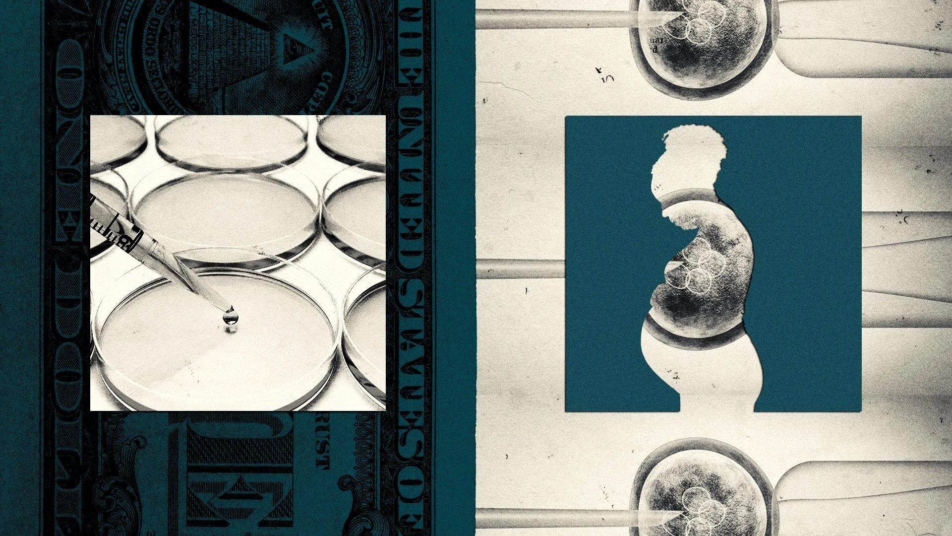 Conceivable Life Sciences raises $50M for automated IVF labs