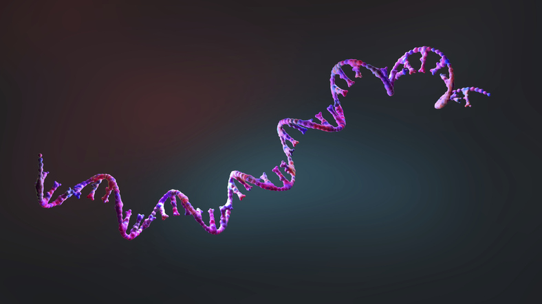 New RNA-Editing Company, Amber Bio, Launches Multi-Kilobase Editing Platform