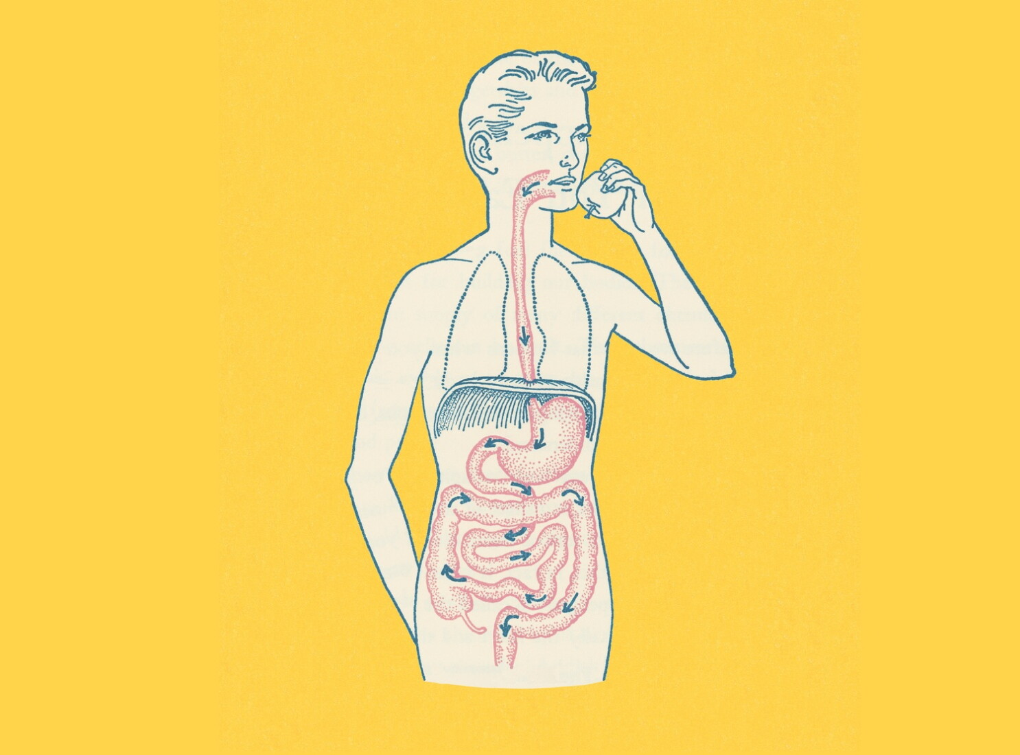 Enveda Exercise-Simulating Obesity Tablet Clears Early Clinical Test