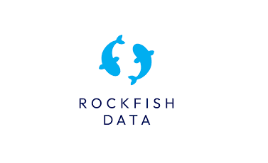 Rockfish Data Raises $4M Seed Funding