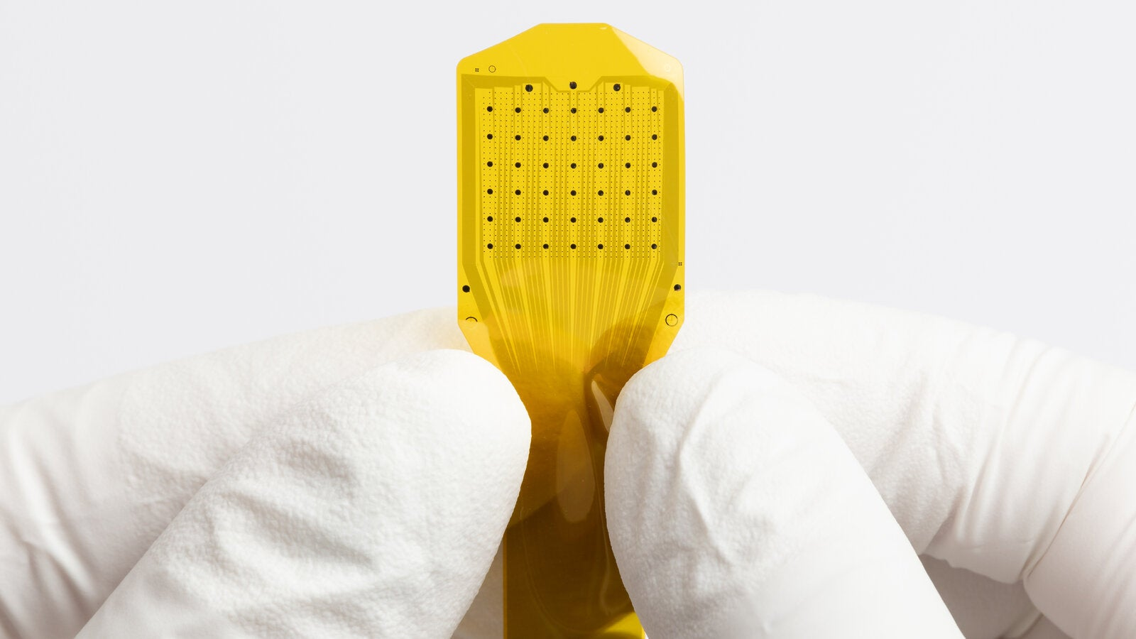 Investors Are Betting On Devices That Connect the Brain to Computers
