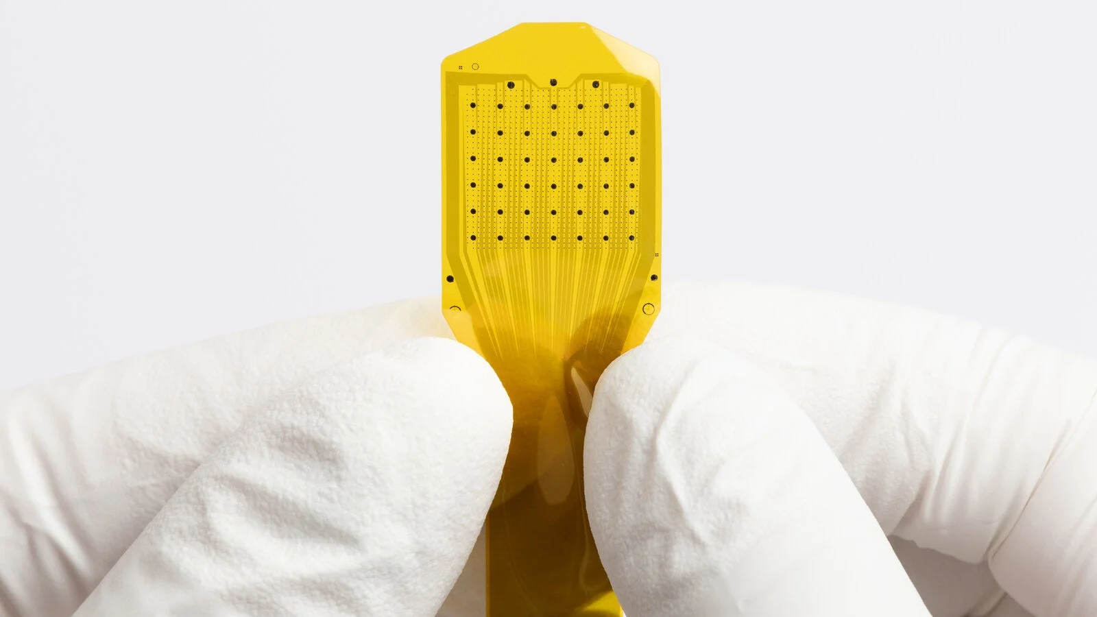Investors Are Betting On Devices That Connect the Brain to Computers
