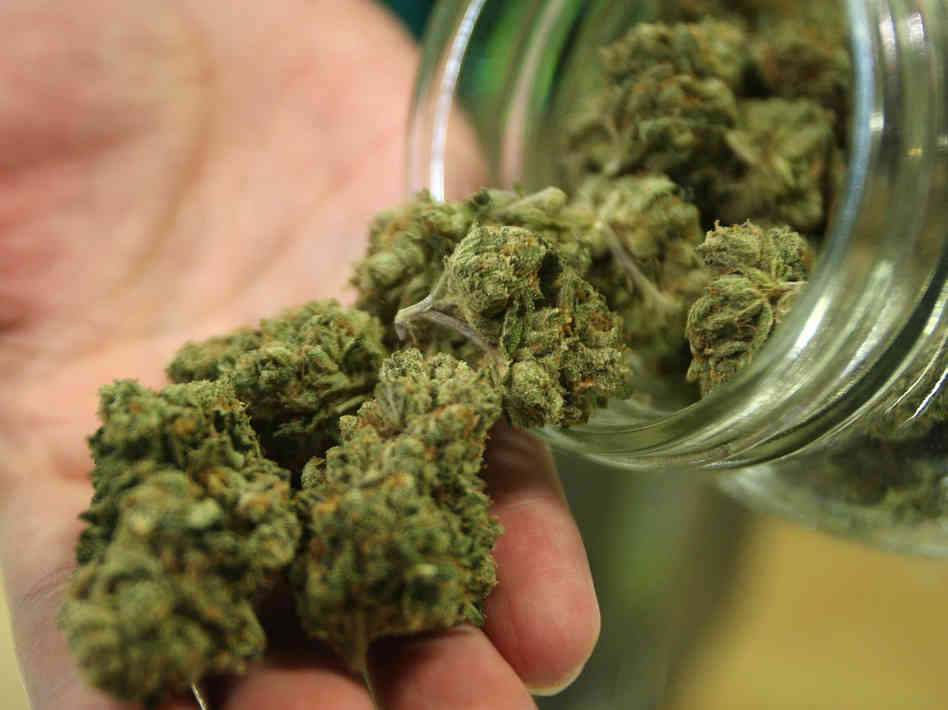 Arkansas poll: marijuana legalization growing in popularity