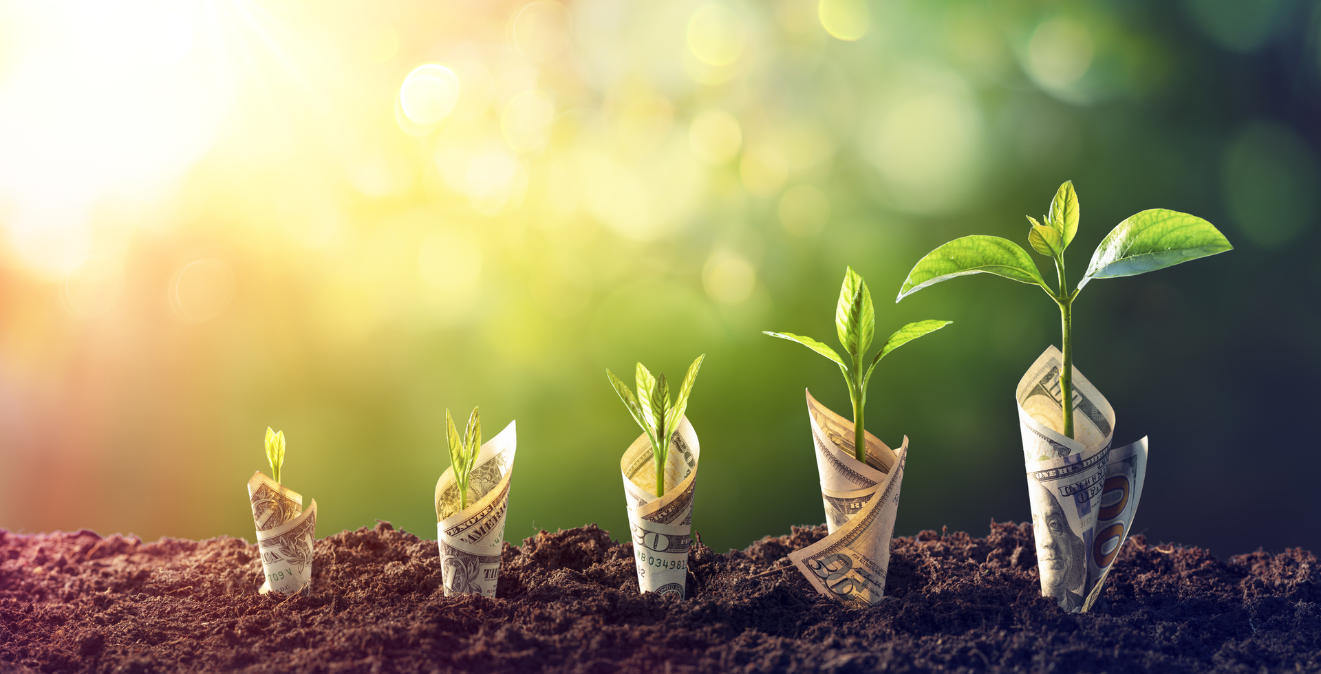 Startup health plan Curative banks $150M series B, hits nearly $1.3B valuation